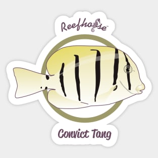 Convict Tang Sticker